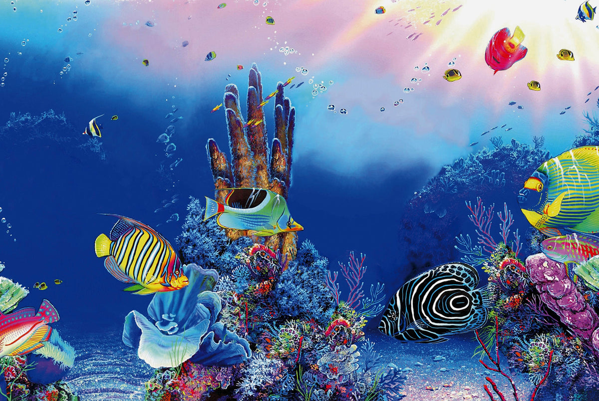 Superfish poster F 150x61cm 2