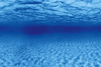 Superfish poster F 100x49cm