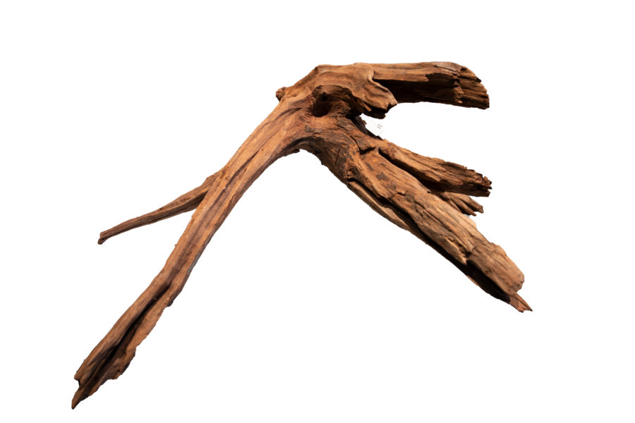 Superfish mangrove large