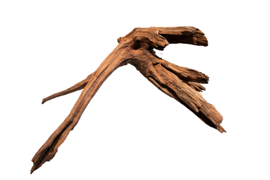 Superfish mangrove large