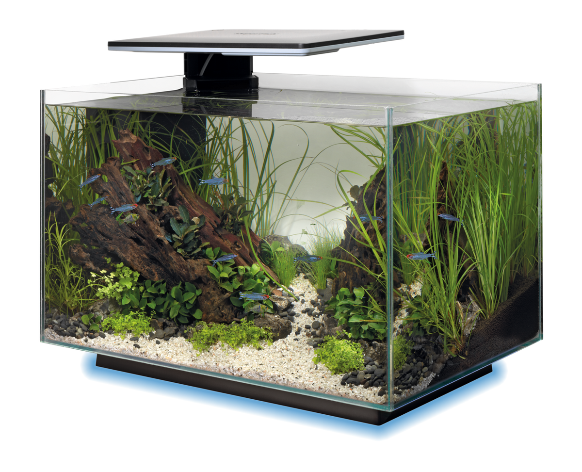 SuperFish Quadro 40 multicolor blanc 3