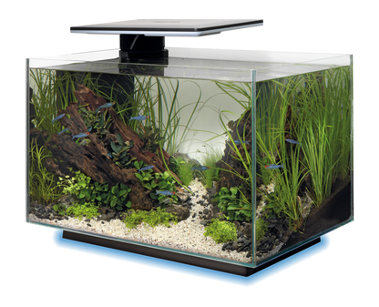 SuperFish Quadro 40 multicolor blanc 3