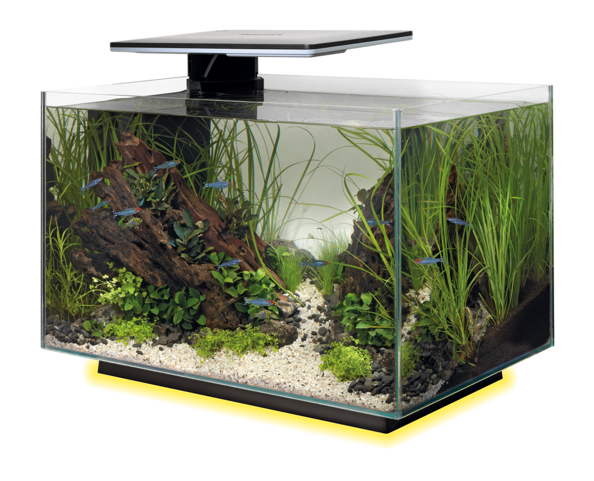 SuperFish Quadro 40 multicolor blanc 4