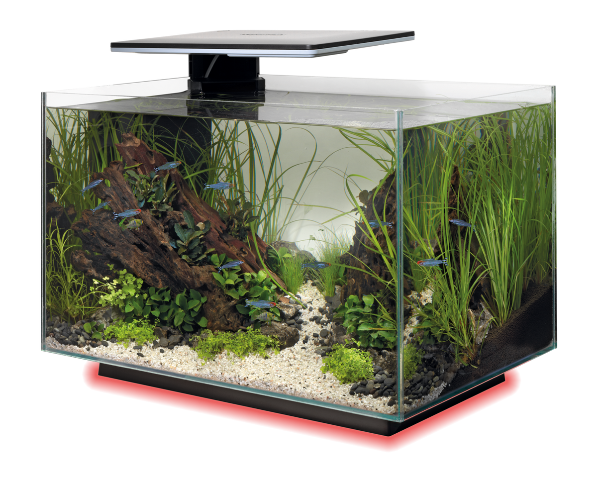 SuperFish Quadro 40 multicolor blanc 5