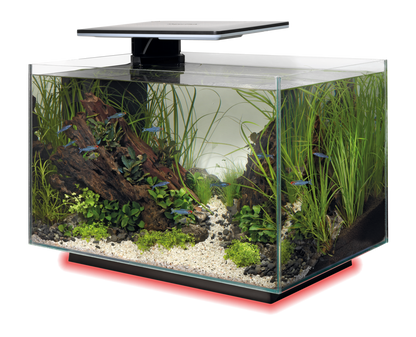 SuperFish Quadro 40 multicolor blanc 5