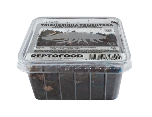 Cloportes Tropicaux