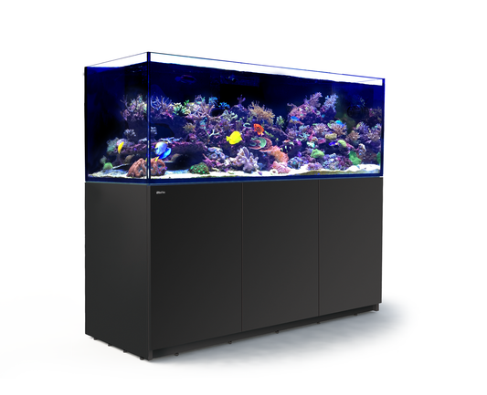 Red Sea Reefer 750 G3+ Noir (Aqua + mbl)