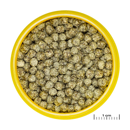 JBL PRONOVO red grano M 100ml click 2