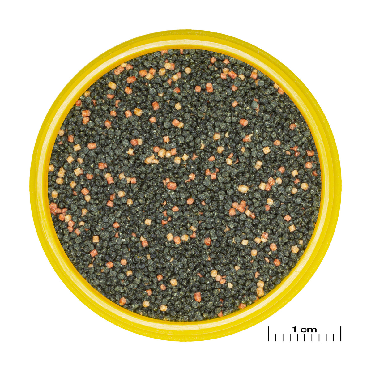 JBL PRONOVO guppy grano S 100ml click 2