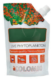 Colombo phytoplankton vivant