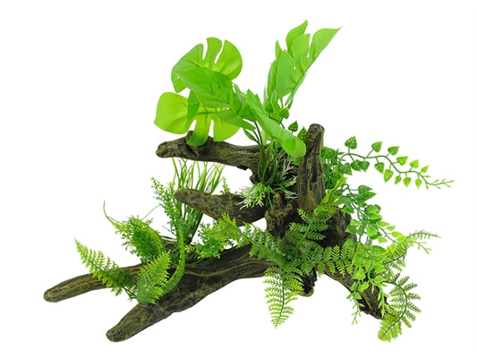 aquascape 5