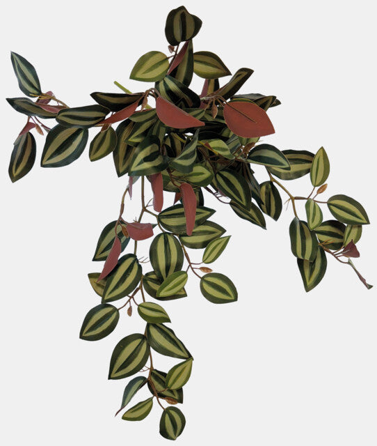 Repto Plante Suspendue Arrière Rouge 46 cm