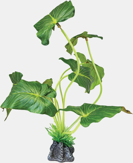Repto Plante Oreille d'éléphant debout 35x15x35 cm