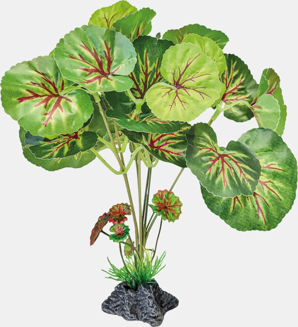 Repto Plante Feuilles Rondes debout 24x20x25 cm