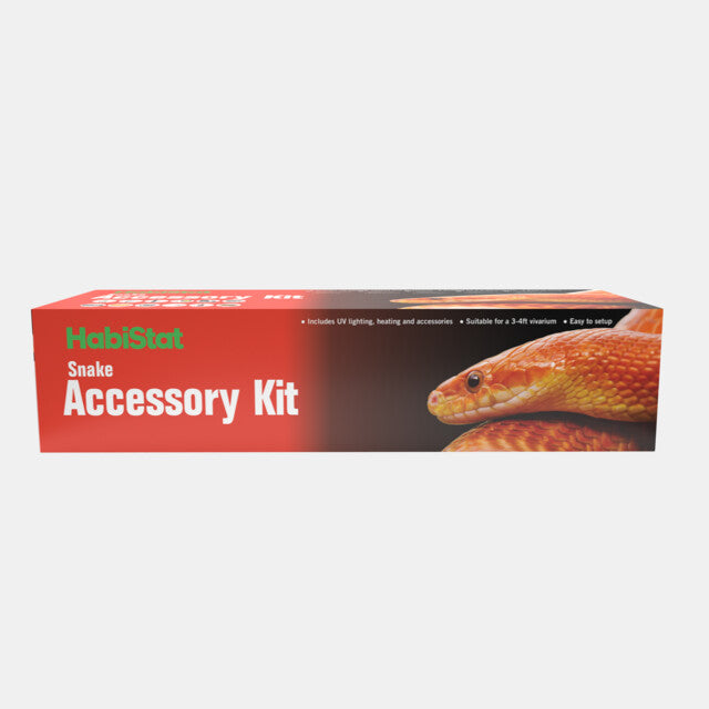 Set d'accessoires Serpent Habistat