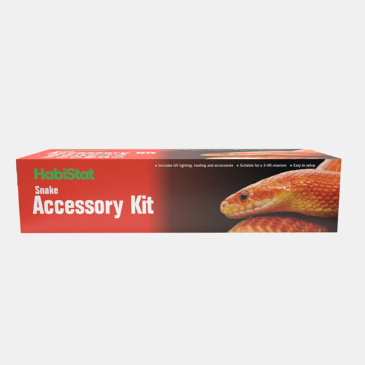 Set d'accessoires Serpent Habistat