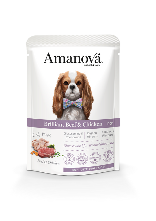 Brilliant Beef & Chicken - P01 sachet 100 gr