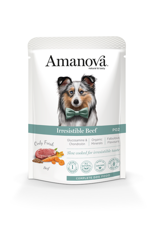 Irresistible Beef - P02 sachet 100 gr