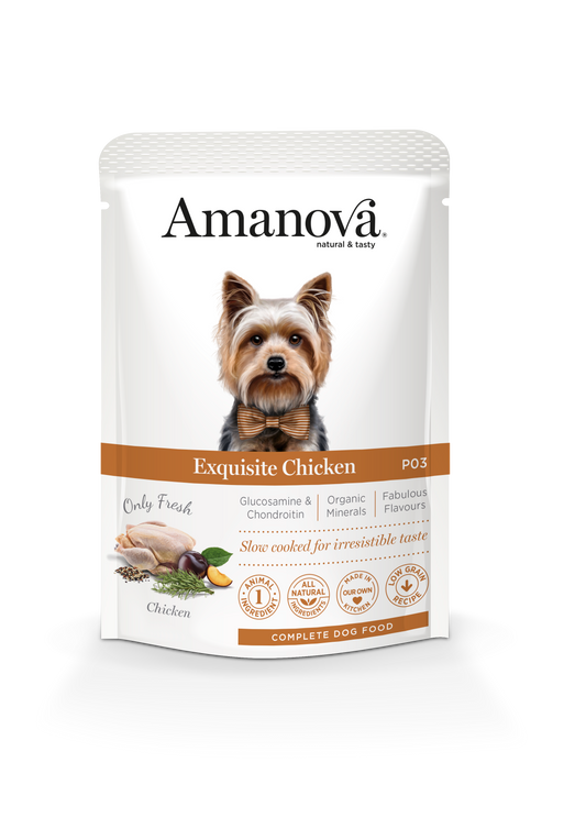 Exquisite Chicken - P03 sachet 100 gr