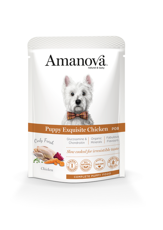 Puppy Exquisite Chicken - P08 sachet de 100 gr
