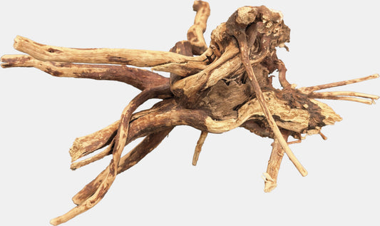 Bio Art Spider Wood 10-150 cm