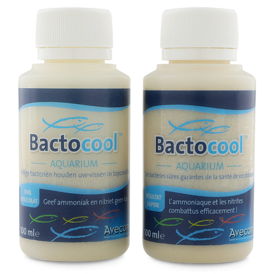 Bactocool 100ml