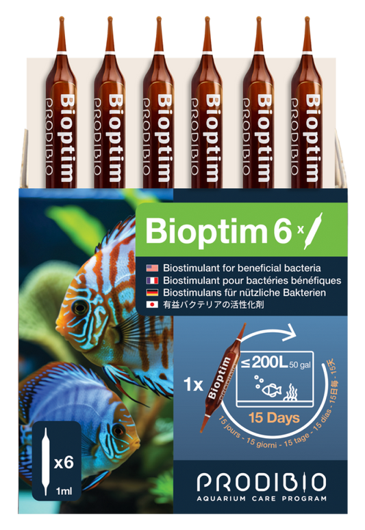 Bioptim 6 ampoules