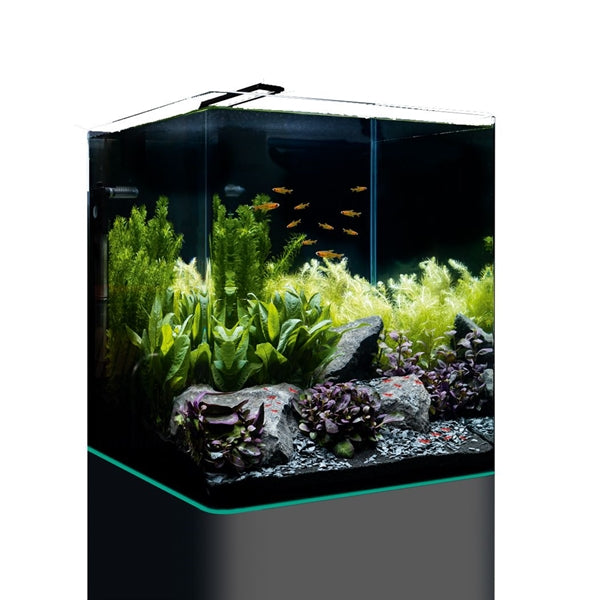 Dennerle nano cube complet led 30 litres (NOUVEAU) 2