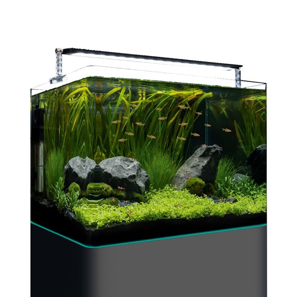Dennerle nano tank pro 70l 2