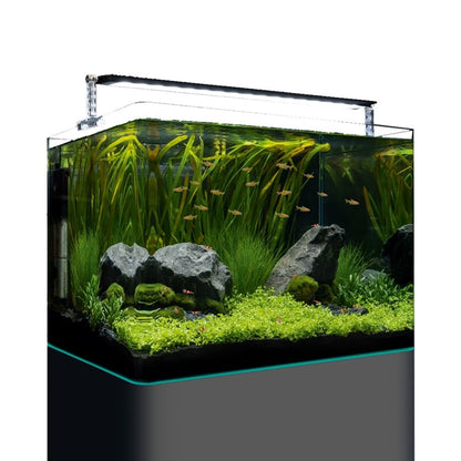 Dennerle nano tank pro 70l 2