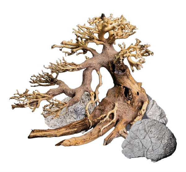 Dennerle déco box bonsai