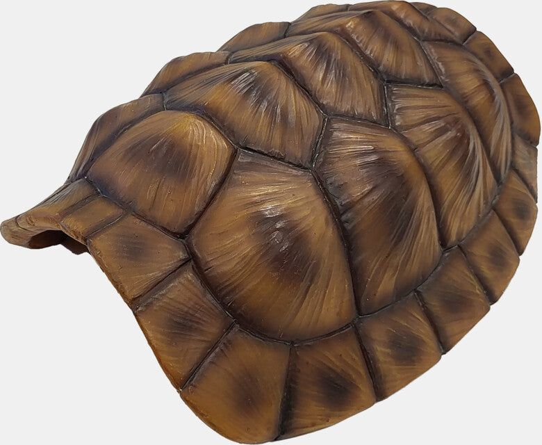 Repto Deco Tortue XL 28x23x9 cm