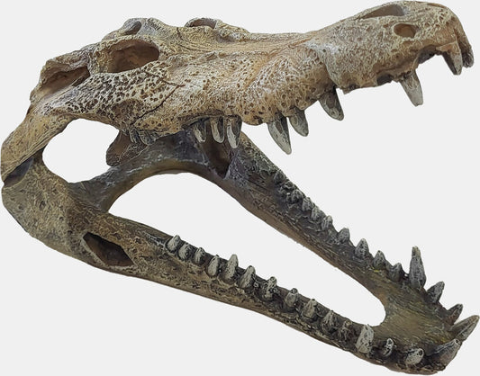Repto Deco Crocodile L