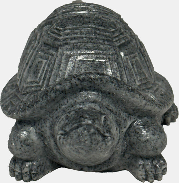 Eco Deco Tortoise