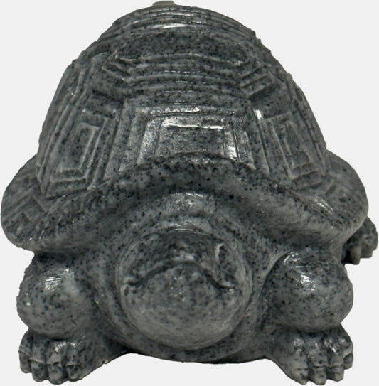 Eco Deco Tortoise