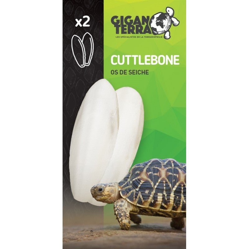 Cuttlebone Os de seige x 2