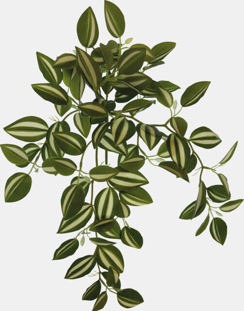 Repto Plante Suspendue Verte/Blanche 46 cm