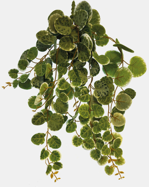 Repto Plante Suspendue Feuilles Rondes 46 cm