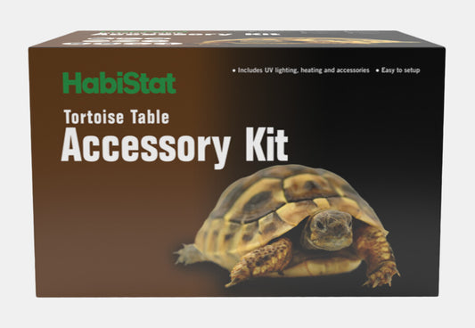 set d'accessoires Tortues terrestres