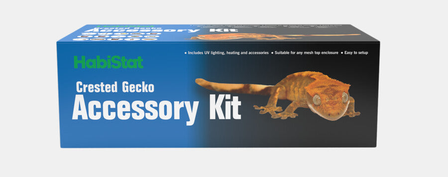 Set d'accessoires Habistat Gecko à crête