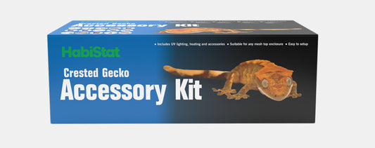 Set d'accessoires Habistat Gecko à crête