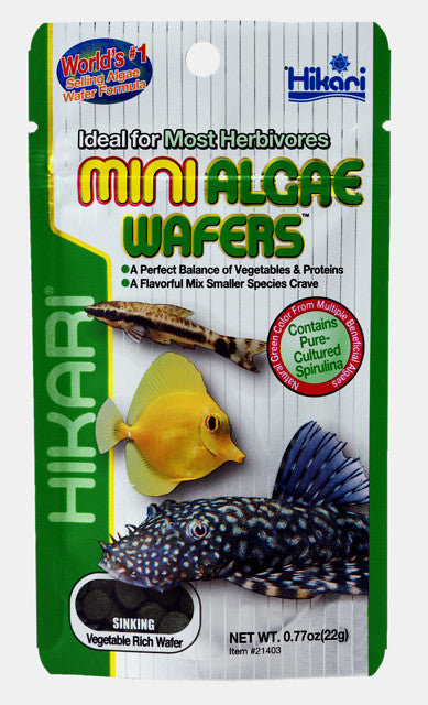 Hikari Mini Algae Wafers 22gr
