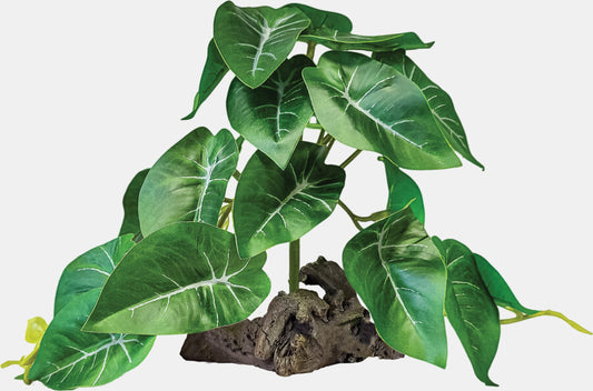 Repto Plante sur Deco Elephant Verte 20x13x20 cm