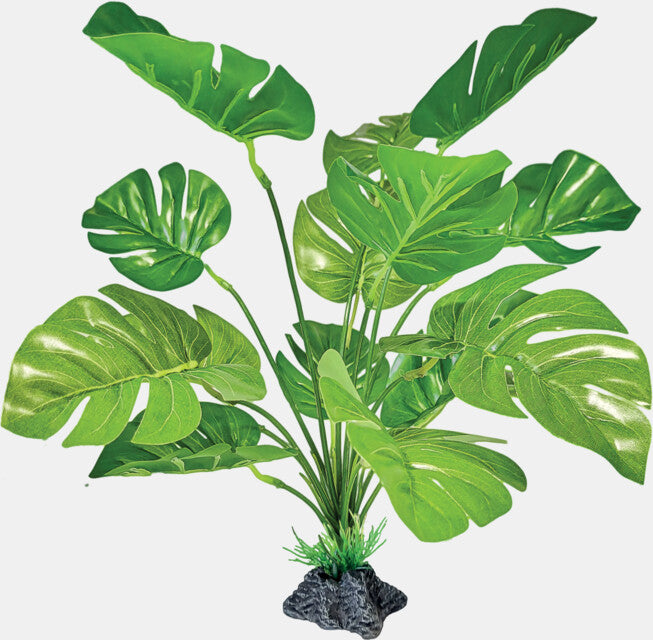 Repto Plante Monstera debout 27x25x30 cm