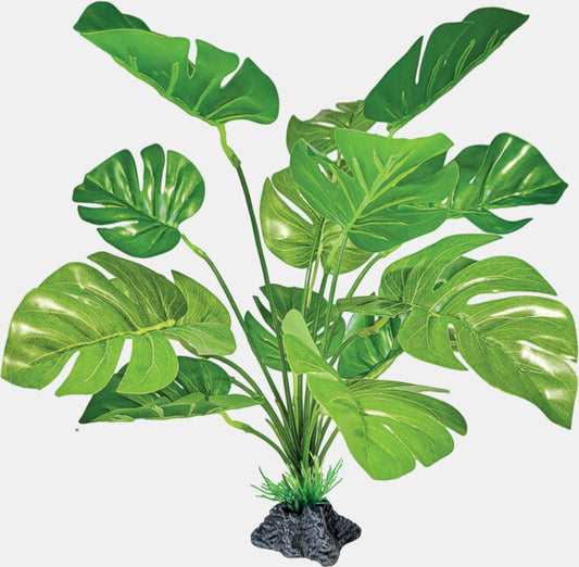 Repto Plante Monstera debout 27x25x30 cm