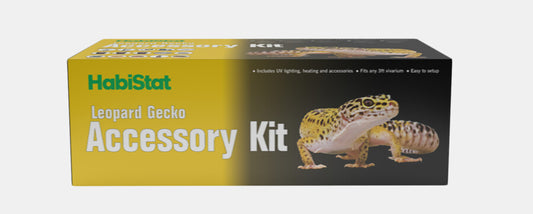 Set d'accessoires pour gecko léopard Habistat