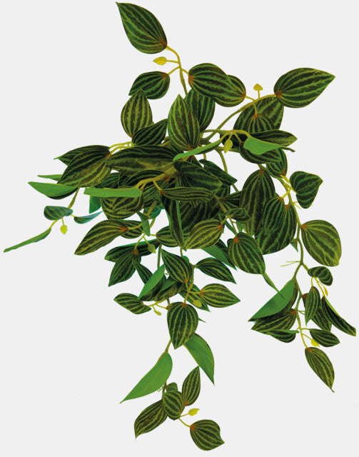 Repto Plante Suspendue Verte 46 cm
