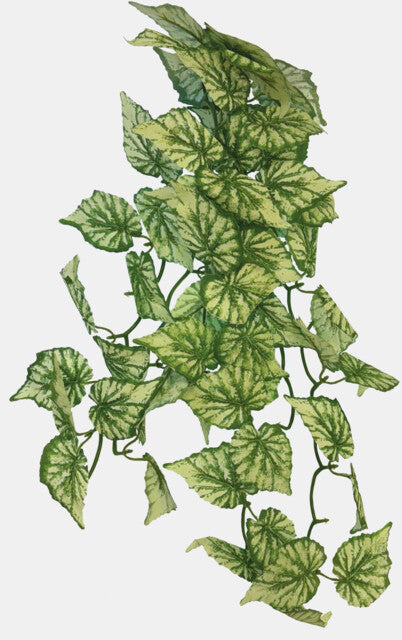 Repto Plante Suspendue Hedera 65 cm