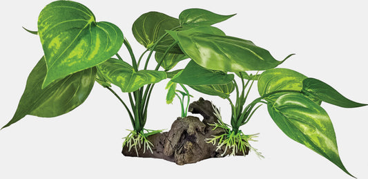 Repto Plante sur Deco Verte Claire 30x27x15 cm
