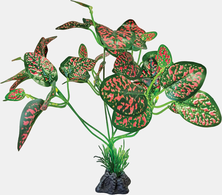 Repto Plante debout rouge/verte 32x21x29 cm
